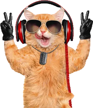 Cat Chat Katze Gif Dance Music Fun Animal With Headphones Png Dancing Cat Gif Transparent