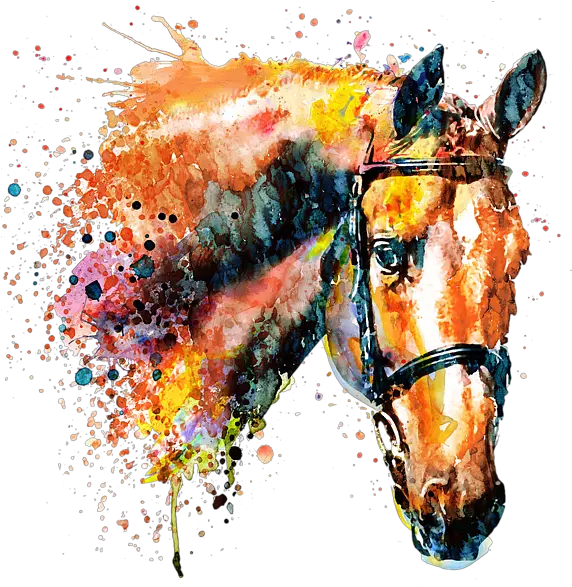 Colorful Horse Head Hand Towel For Sale Colorful Horse Watercolor Paintings Png Horse Mask Png