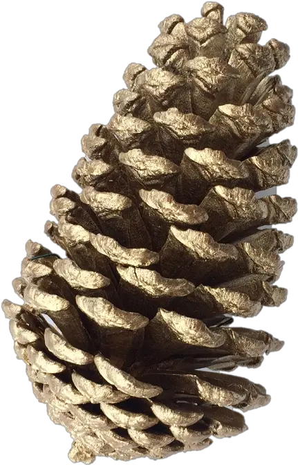 Pine Garland Png Close Christmas Pine Cones Png Christmas Pine Cone Png Garland Png