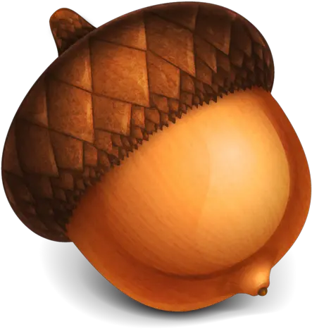 Acorn Png Transparent Acorn Png Acorn Transparent Background