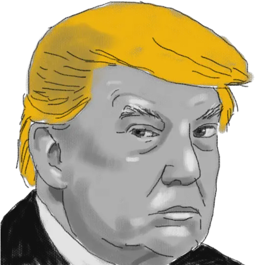 Us President Donald Trumps Allies In Sketch Png Trump Head Transparent