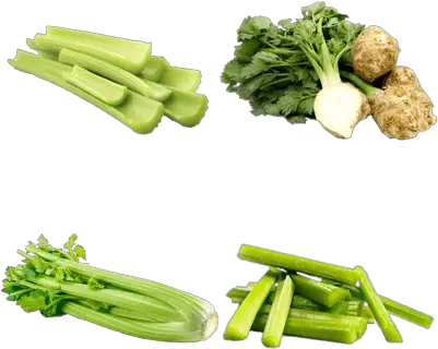 Celery Celery White Transparent Background Png Celery Png