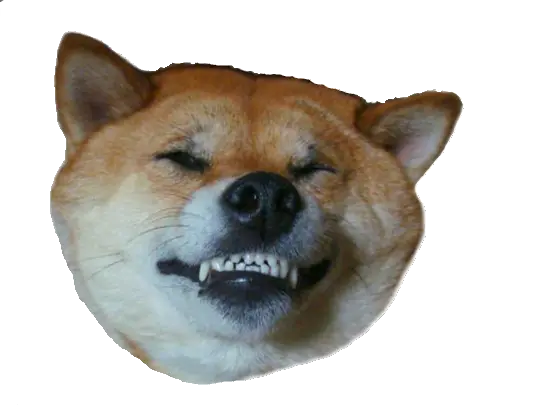 Doge Head Shiba Inu Face Transparent Png Shiba Inu Png