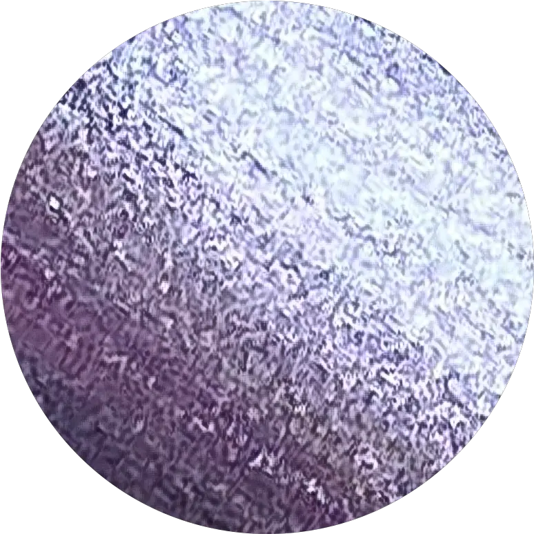 Glitter One Step Gel Polish Lucid Polish Png Wet N Wild Icon Glitter