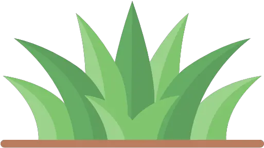 Agave Transparent Grass Icon Png Grass Icon