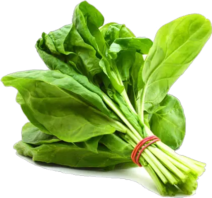 Spinach Png High Quality Image Palak Vegetable Name In English Spinach Png