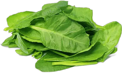 Download Spinach Transparent Png Five Pictures Of Healthy Food Spinach Png