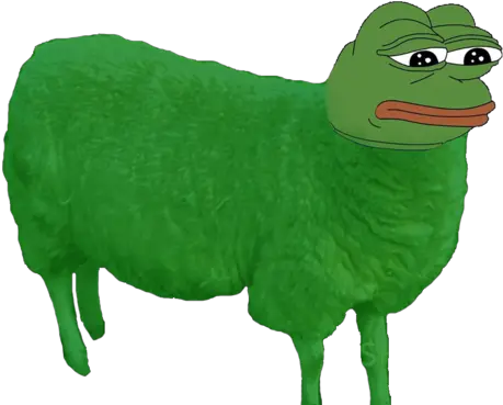 What Is A Shepepe Askfmsimilartoaboss Pepe The Frog Sheep Png Pepe The Frog Png
