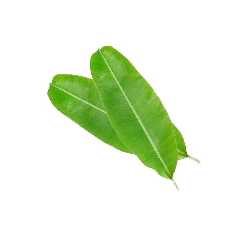 Banana Leaves Kele Ka Patta Png Banana Leaves Png