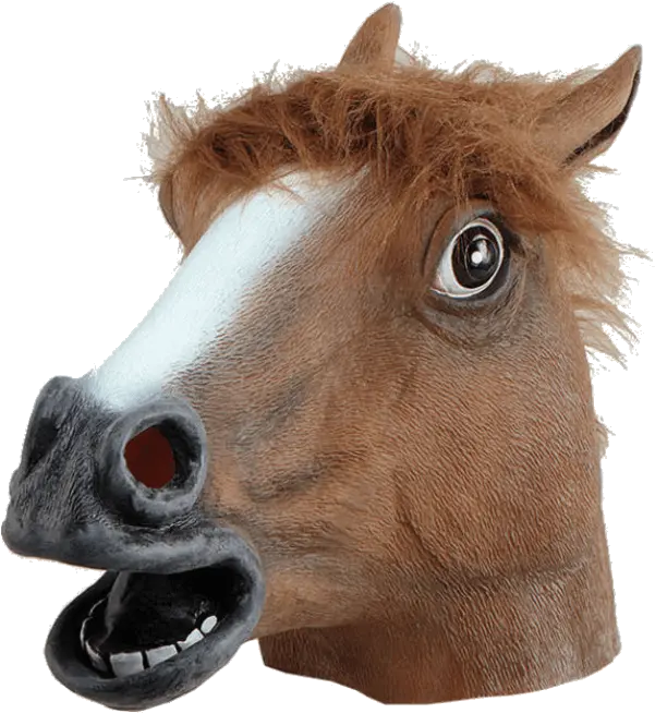 Download Horse Head Png Image With Horse Head Horse Head Png