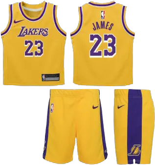 Box Nba Lakers James Maillot Short Icon Edition Short Lebron James Lakers Png Cleveland Cavaliers Icon Set