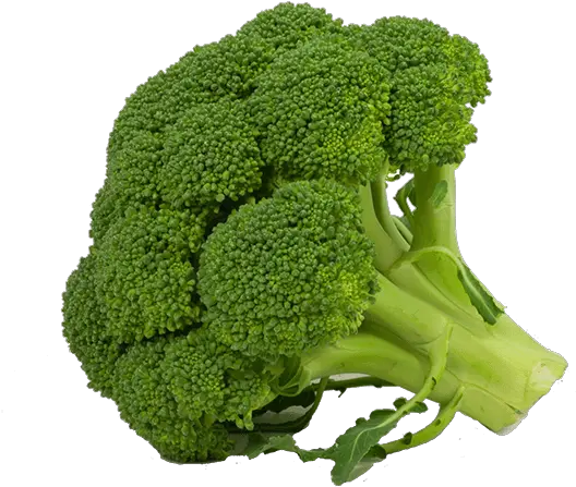 Benefits Of Broccoli Juice Broccoli Images With White Background Png Broccoli Transparent