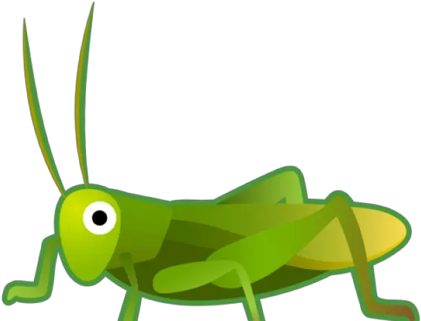 Grasshopper Png Grasshopper Clipart Transparent Background Grasshopper Png