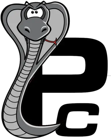 Contact Us U2022 Period Correct Cobra Parts Language Png Cobra Icon