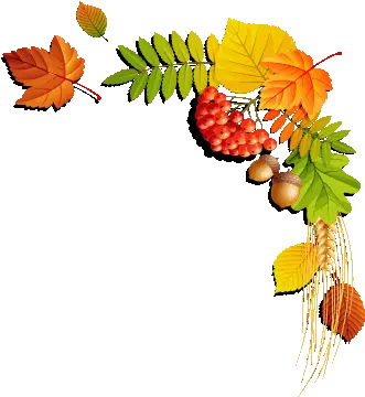 Fall Leaves Corner Border Transparent U0026 Png Clipart Free Fall Leaf Corner Border Png Fall Border Transparent