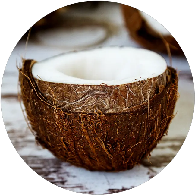 Coconut Oil Raw Apothecary Hindistan Cevizi Nasl Yenir Png Coconut Png