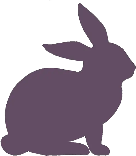 Dried Treats Rabbit Ears With Hair Silhouette Rabbit Png Rabbit Ears Png