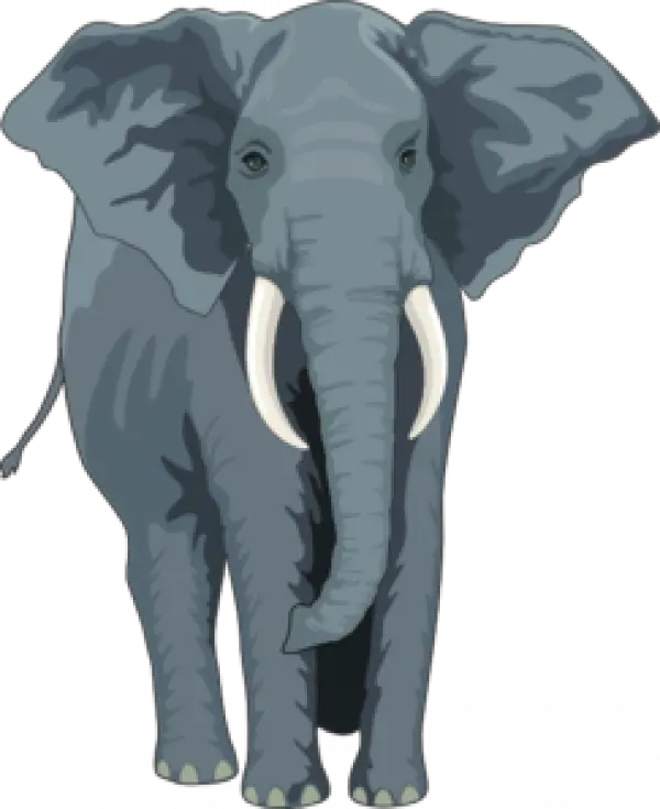 Download Elephant Clipart Suggestions Elephant Front View Clipart Png Elephant Clipart Transparent Background