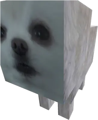 Gabe The Dog Pomeranian Png Gabe The Dog Png