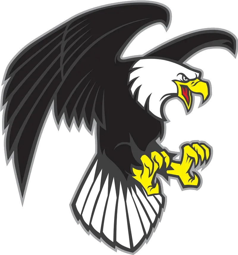 Flying Eagle Clipart Transparent 1 Cartoon Angry Eagle Png Eagle Clipart Png