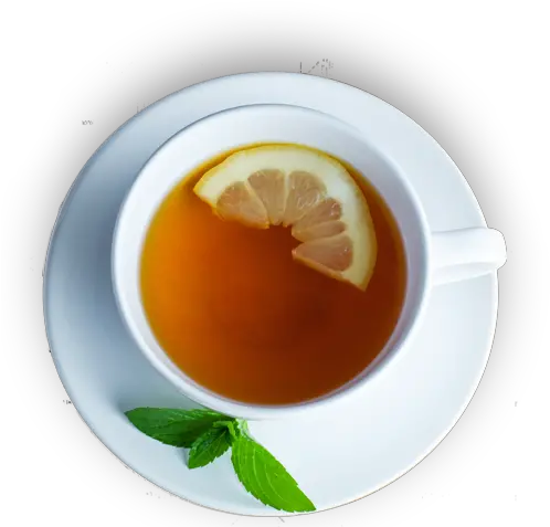 35 Tea Png Images For Free Download Tea Cup Top Png Tea Png