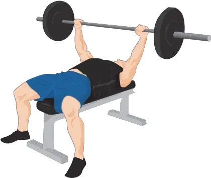 Download Exercise Bench Png Harder Push Up Variations Bench Png