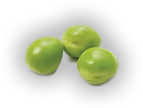 Download Free Png Pea Image Single Green Pea Png Pea Png