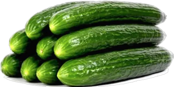 Download Veg Cucumbers Organic English English Cucumber Png Cucumber Png