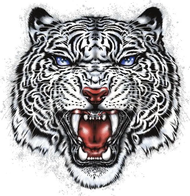 White Tiger Head Stock Transfer Transparent Tiger Head Png Tiger Head Png