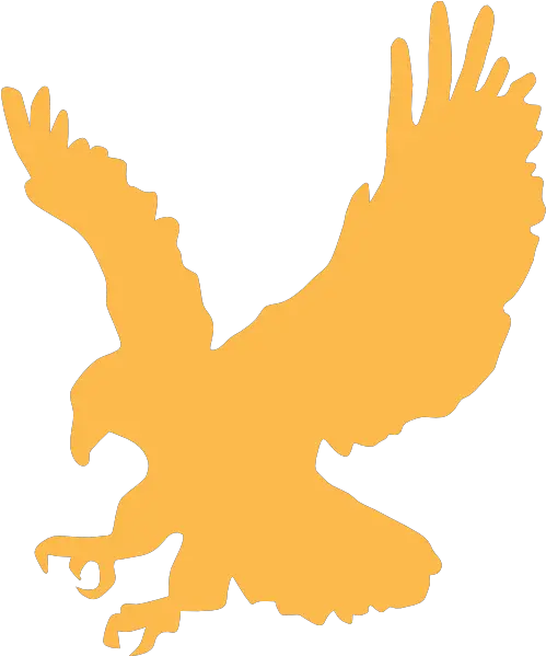 Cartoon Golden Eagle Flying Images Pictures Eagle Clip Art Eagle Clip Art Png Eagle Flying Png