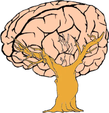 Brain Tree Clip Art Vector Clip Art Online Brain Line Art Png Brain Clipart Png