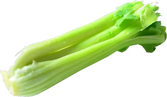 Celery Png Transparent Transparent Celery Png Celery Png
