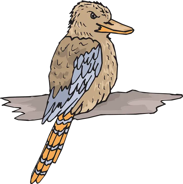 Bird Wood Wings Free Vector Graphic On Pixabay Kookaburra Clipart Png Wings Clipart Png
