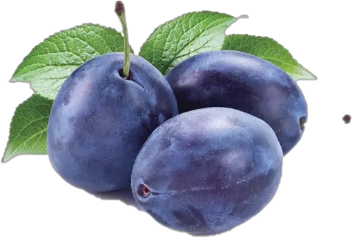 Plum Png Images Hd D Agen Plum Plum Png