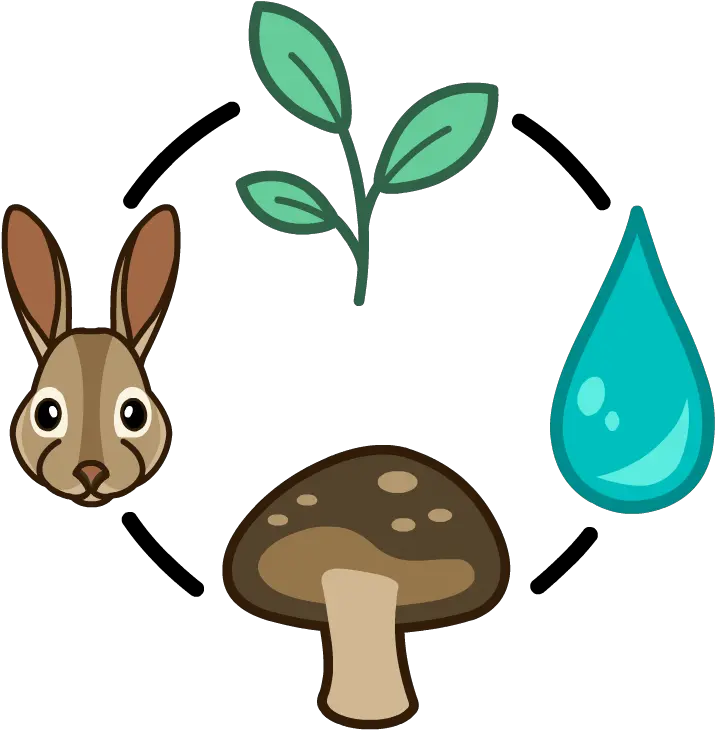 The Meaning Of Beep Energy Pyramid Gameup Brainpop Wild Mushroom Png My Plate Replaced The Food Pyramid As The New Icon