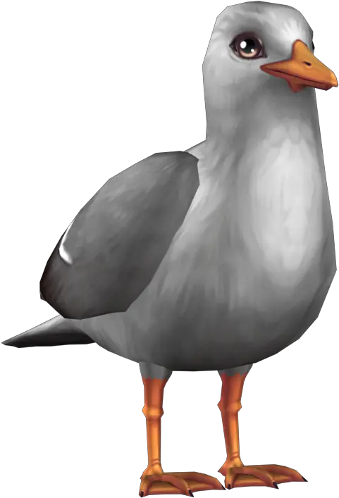 Download Dapper Seagull Star Stable Full Size Png Image Laughing Gull Seagull Png