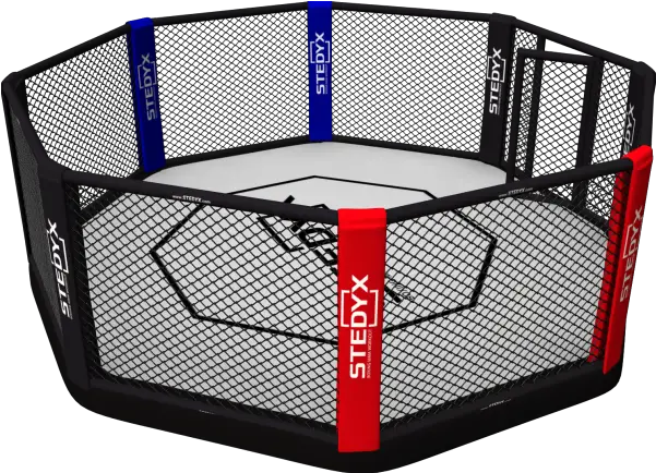 Mma Cage Png 5 Image Mma Octagon Ring Png Cage Png