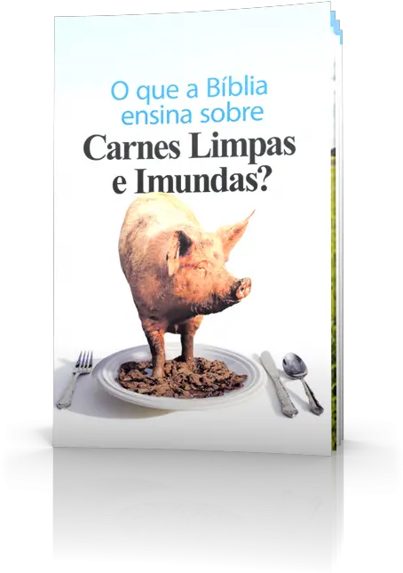 Quais Animais Designa A Bíblia Como U0027limposu0027 E U0027imundos Pig Unclean Png Biblia Png