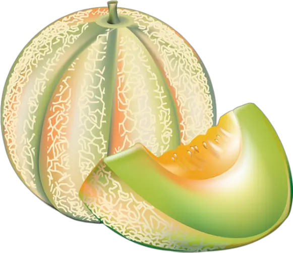 Tube Fruit Melon Png Dessin Melone Melon Drawing Comment Dessiner Un Melon Melon Png