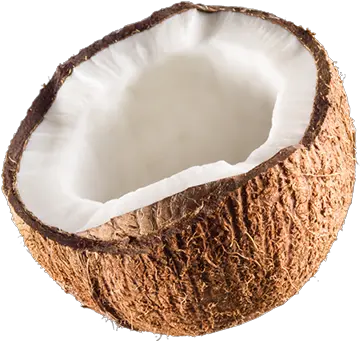 Jax Coco Jax Coco Is 100 Pure Coconut Water With Coconut Png Coconut Png
