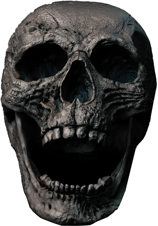 Png Free Scary Skulls Scary Skeleton Face Png Skull Png Transparent