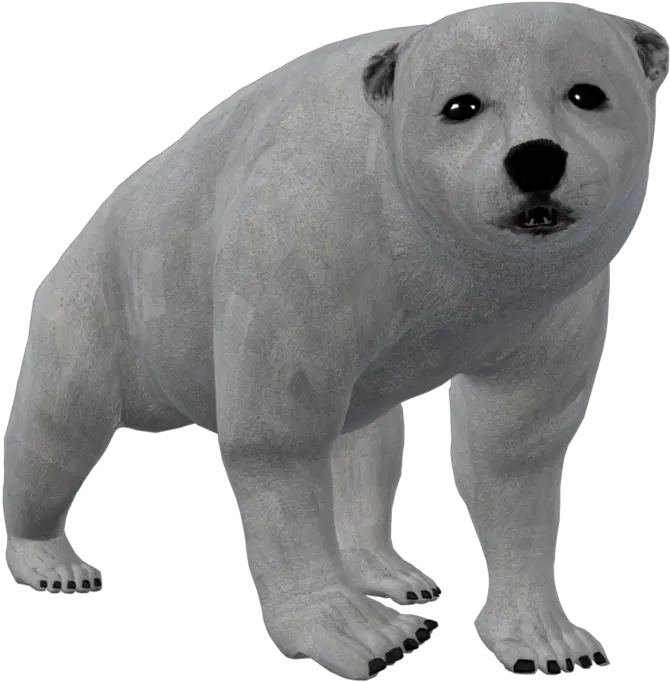 Bear Cub Png Polar Bear Png Clipart Polar Bear Png