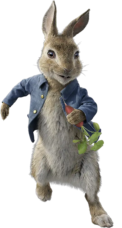 Download Free Png Peter Rabbit Character Peter Rabbit Movie Peter Rabbit Png