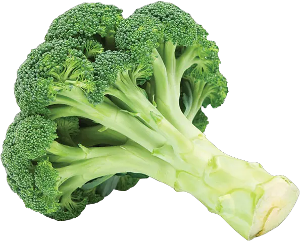 Broccoli Vegetable Broccoli Png Broccoli Transparent