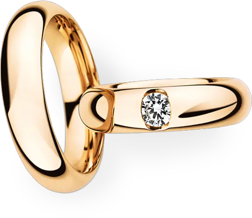 Prev Next Trauringeklassisch Simple Gold Wedding Trouwringen Schaap En Citroen Png Wedding Ring Png