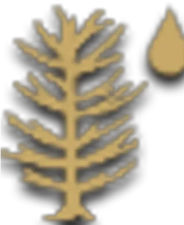 Pine Resin Timberborn Wiki Fandom Png Icon