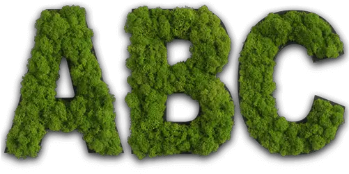 Moss Letters As Pictogram For Words And Moss Letters Png Moss Png