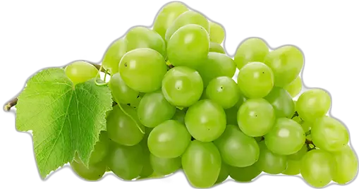 Grapes Png Images 2 Image Green Grapes Transparent Background Grapes Png