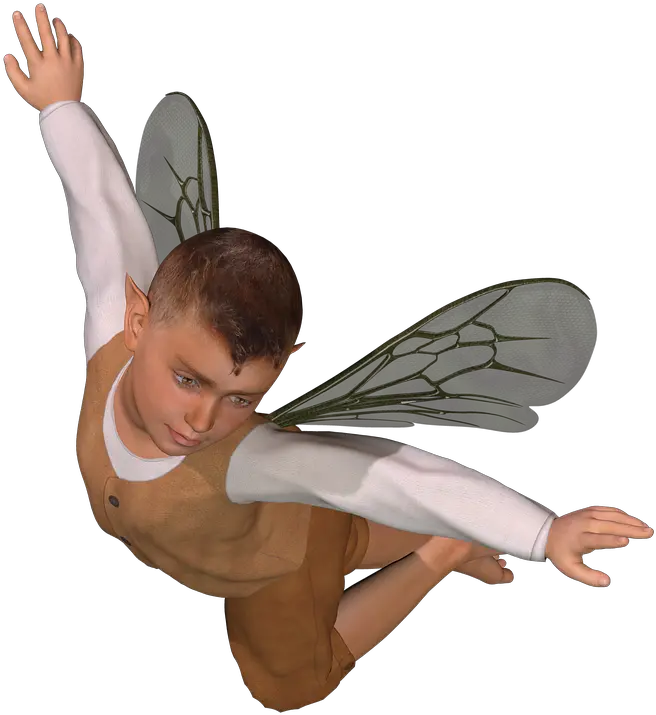Boy Fairy Png U0026 Free Fairypng Transparent Images 11938 Fairy Boy Png Fairy Png Transparent