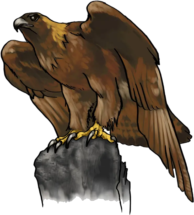 Head Clipart Golden Eagle Transparent Logo Eagle Clip Art Png Eagle Head Png